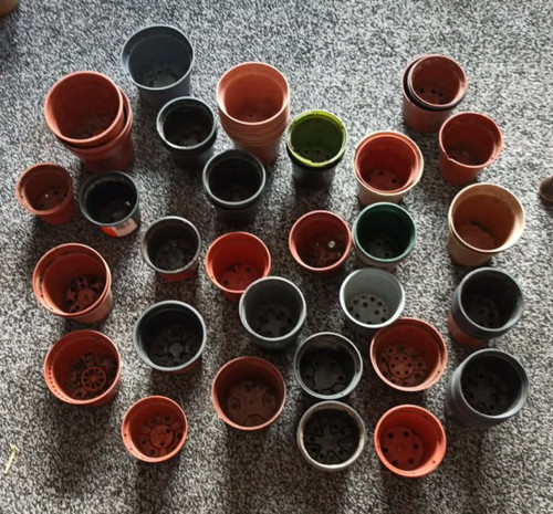 Used plastic plant - plastic,