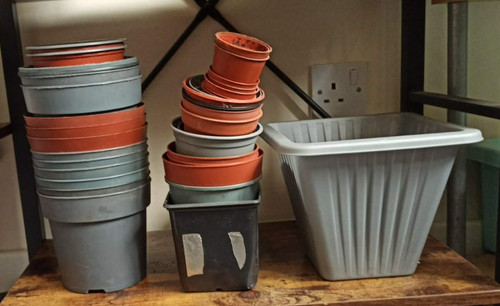 Used plastic plant - plant, pots